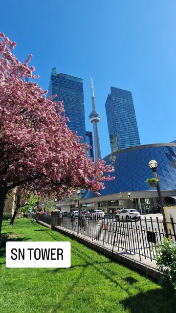 Canada · 17 May 2025 · 4