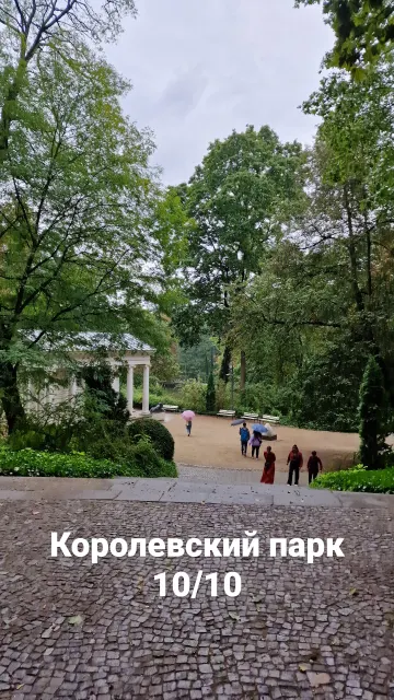 Сторис · 29 сент. 2023 г. · 10