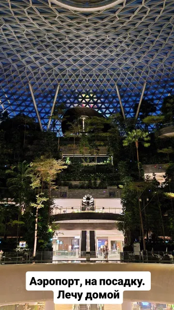 Singapore · 9 Oct 2025 · 35