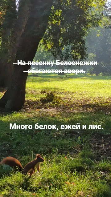 Бег · Вроцлав · 21 окт. 2023 г. · 7