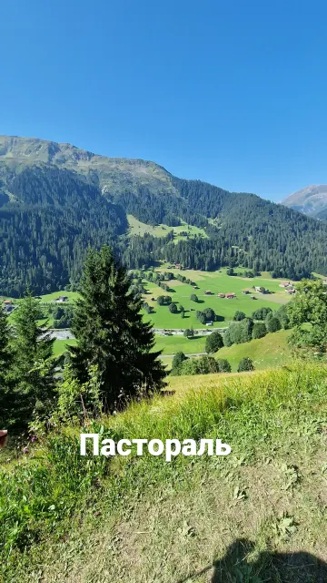 Switzerland · 29 Aug 2025 · 25