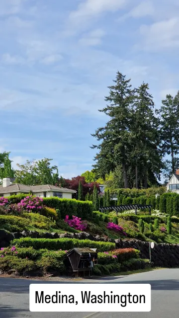 Bellevue · 3 Jun 2025 · 16