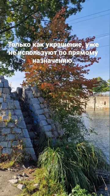 Бег · Вроцлав · 21 окт. 2023 г. · 12