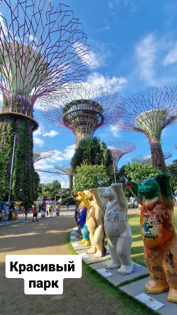 Singapore · 9 Oct 2025 · 24