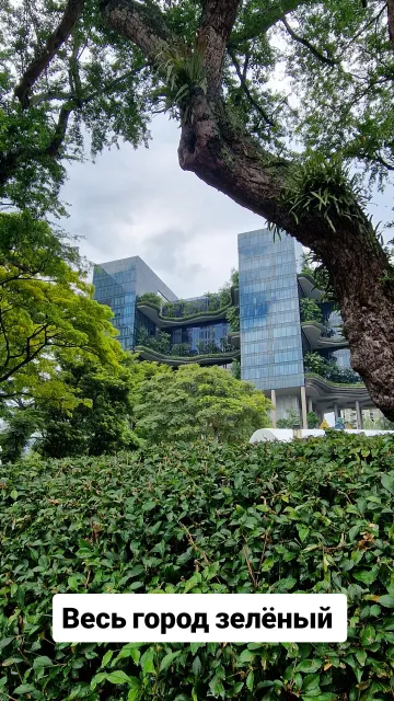 Singapore · 9 Oct 2025 · 8