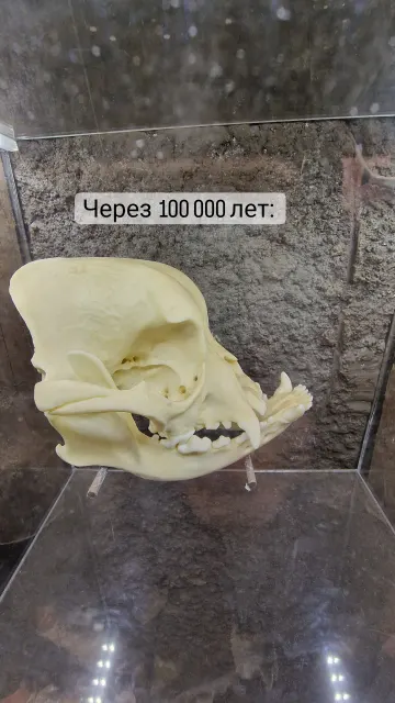 Сторис · 13 июл. 2022 г. · 15