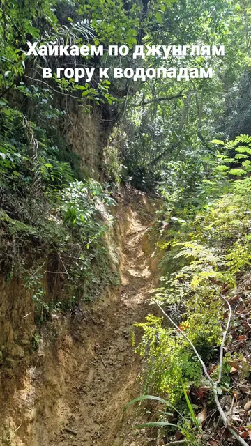 Dominican Republic · 1 Sept 2026 · 3