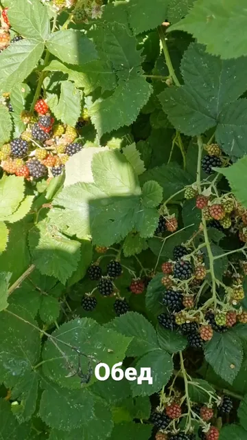 Stories · 31 Jul 2026 · 31