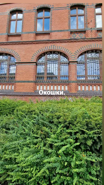 Сторис · 31 июл. 2022 г. · 48