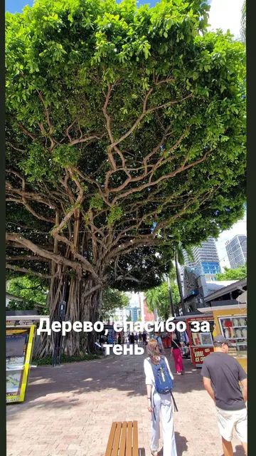 Stories · 30 Aug 2026 · 71