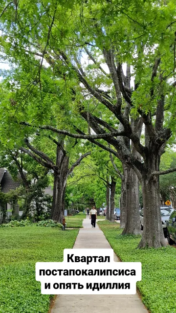 Texas · 29 Mar 2026 · 8