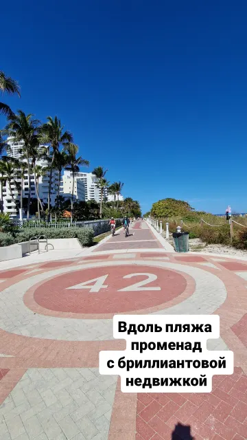Miami · 31 Jan 2025 · 3