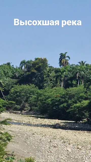 Dominican Republic · 1 Sept 2026 · 5