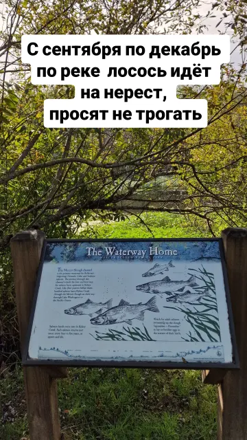 Stories · 20 Sept 2024 · 48