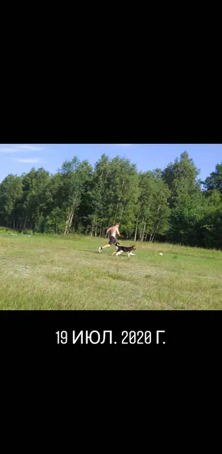 Сторис · 20 июл. 2020 г. · 11