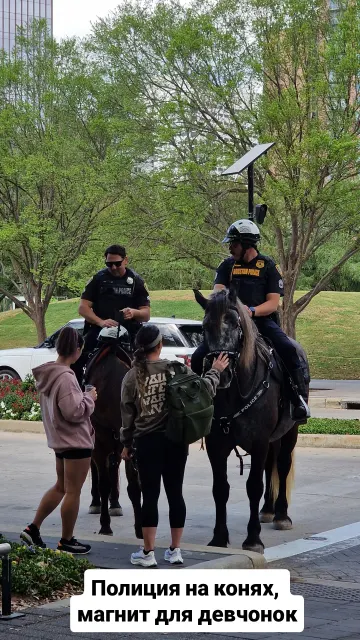 Texas · 29 Mar 2026 · 6