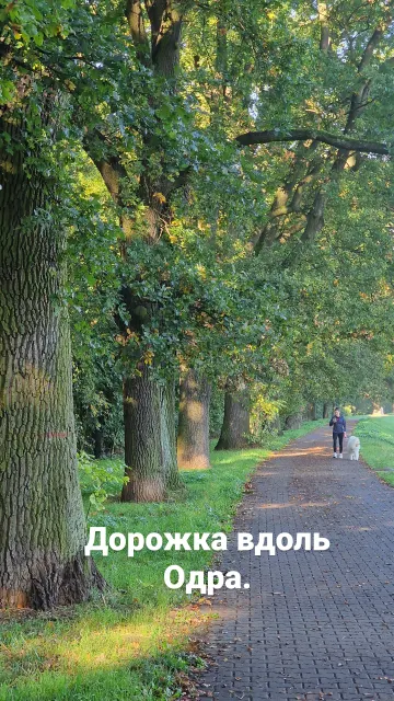 Бег · Вроцлав · 21 окт. 2023 г. · 8
