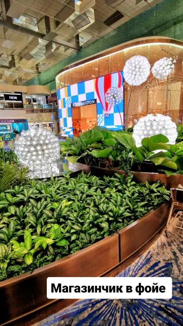 Singapore · 9 Oct 2025 · 34