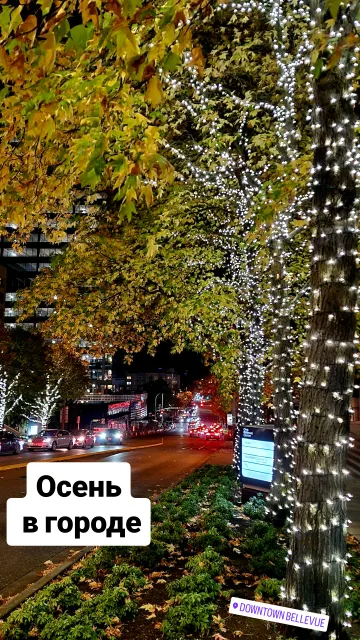 Stories · 8 Nov 2024 · 55
