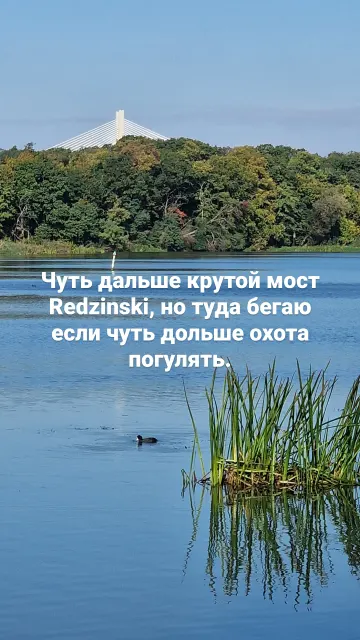 Бег · Вроцлав · 21 окт. 2023 г. · 14