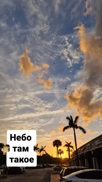 Miami · 31 Jan 2025 · 20