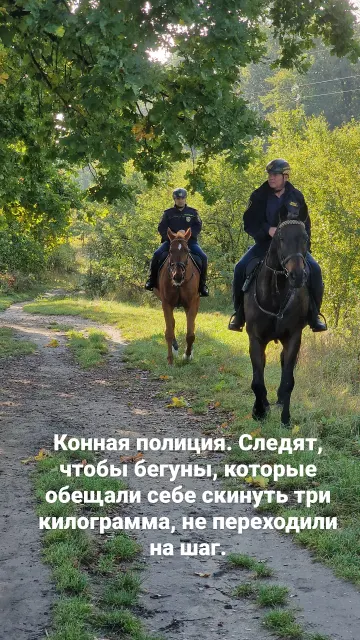 Бег · Вроцлав · 21 окт. 2023 г. · 15