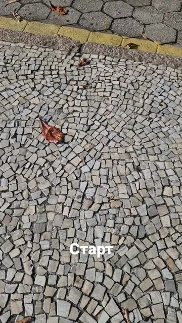 Stories · 29 Aug 2026 · 49