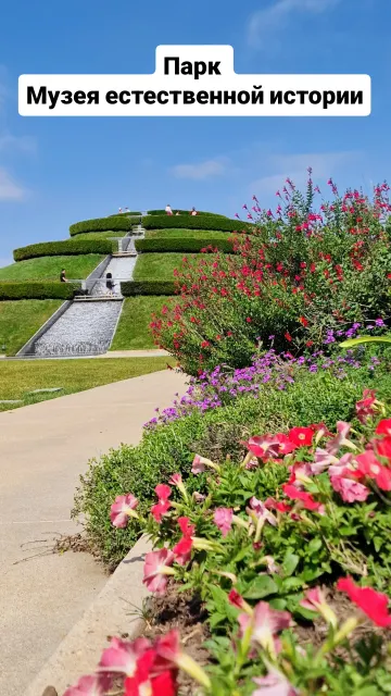 Texas · 29 Mar 2026 · 21