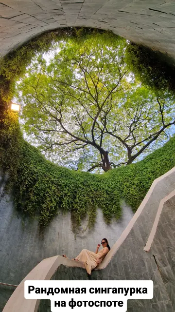 Singapore · 9 Oct 2025 · 26