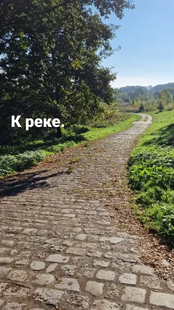 Бег · Вроцлав · 21 окт. 2023 г. · 10