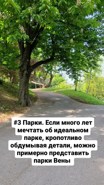 Вена · 13 мая 2024 г. · 12