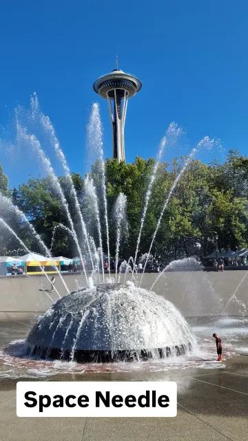 Seattle · 29 Aug 2024 · 3