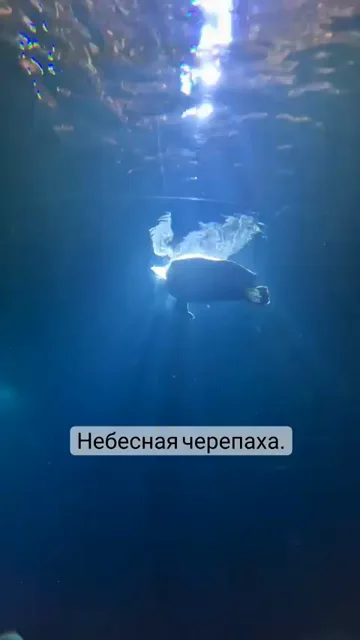 Сторис · 17 июл. 2022 г. · 20