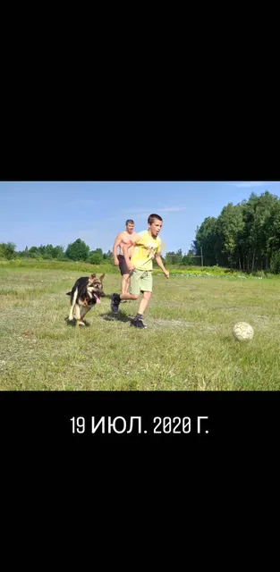 Сторис · 20 июл. 2020 г. · 12