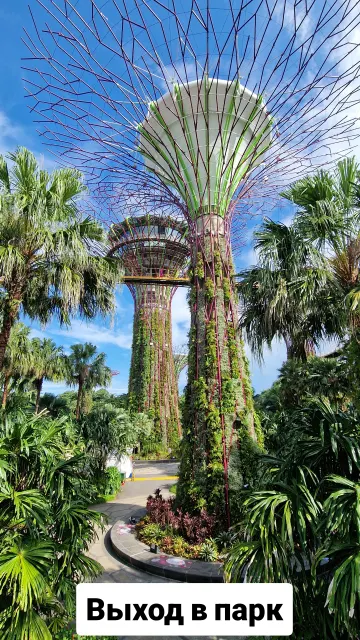 Singapore · 9 Oct 2025 · 18