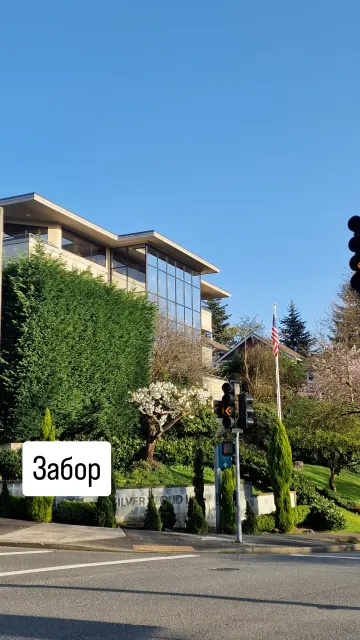 Bellevue · 2 May 2025 · 13