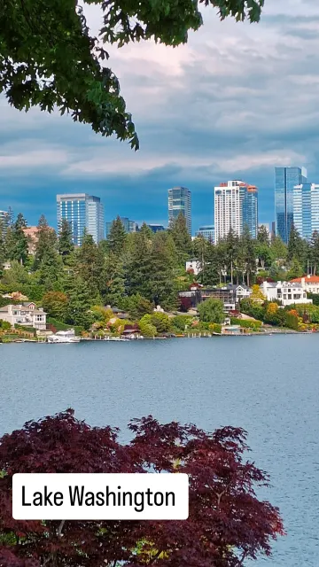 Bellevue · 3 Jun 2025 · 17