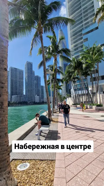 Miami · 31 Jan 2025 · 9