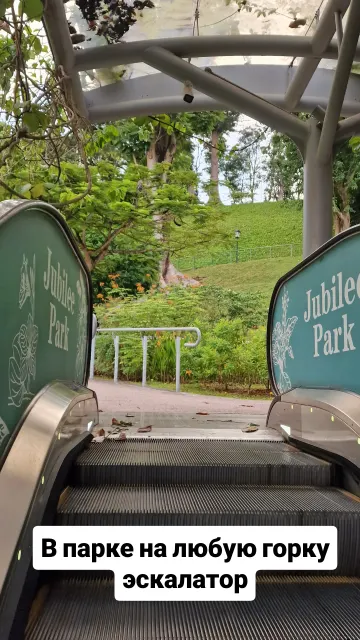Singapore · 9 Oct 2025 · 25