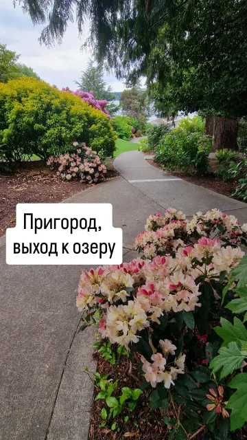 Bellevue · 3 Jun 2025 · 19