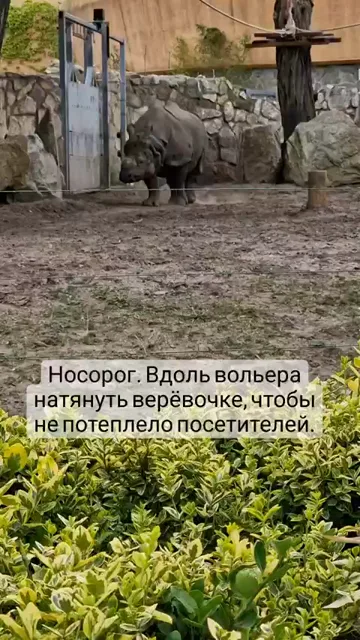 Сторис · 17 июл. 2022 г. · 17