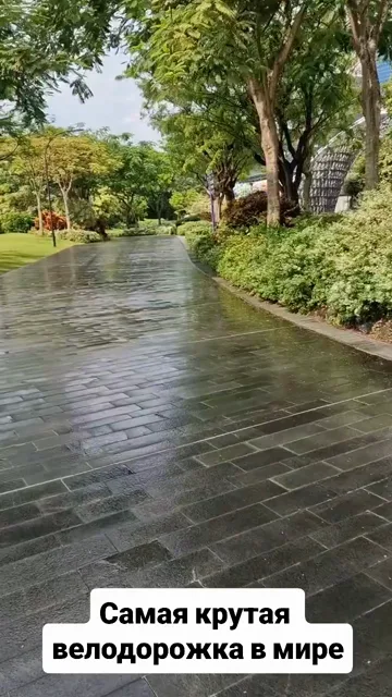 Singapore · 9 Oct 2025 · 32