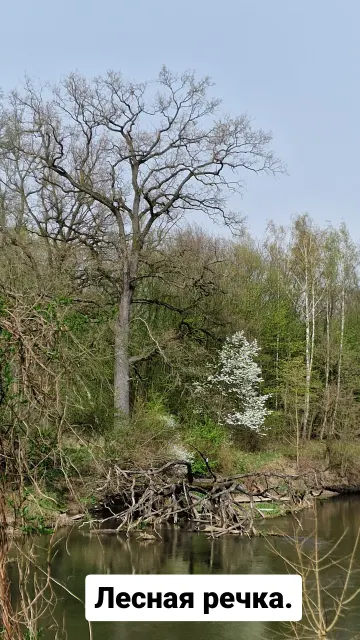 Picnic in Poland · 31 Mar 2024 · 2