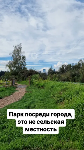 Stories · 20 Sept 2024 · 51
