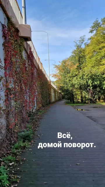 Бег · Вроцлав · 21 окт. 2023 г. · 19