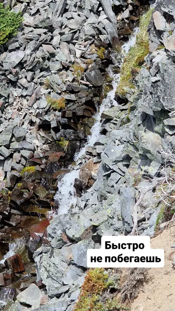 Mount Rainier · 7 Jul 2025 · 11
