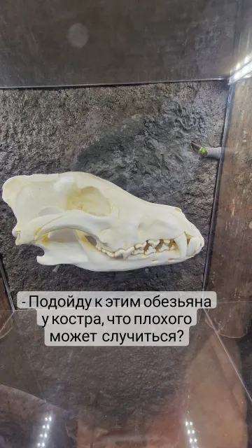 Сторис · 13 июл. 2022 г. · 14