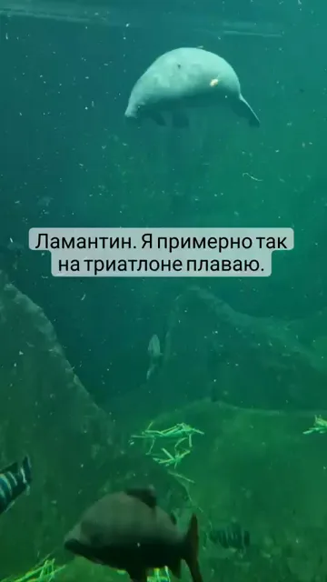 Сторис · 17 июл. 2022 г. · 19