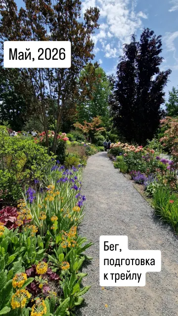 Bellevue · 3 Jun 2025 · 14